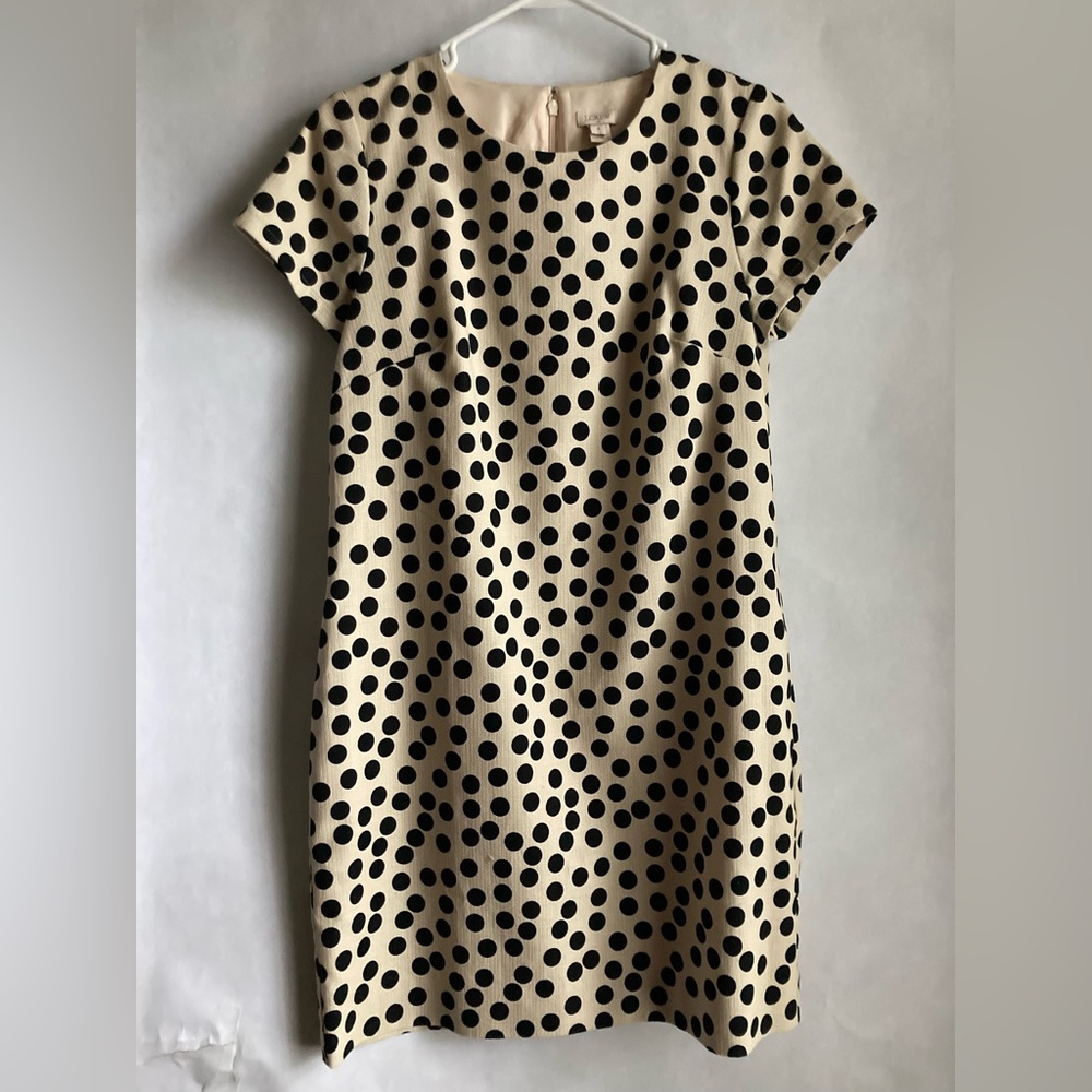 J. CREW Polka Dot Shift Dress - Women’s 4